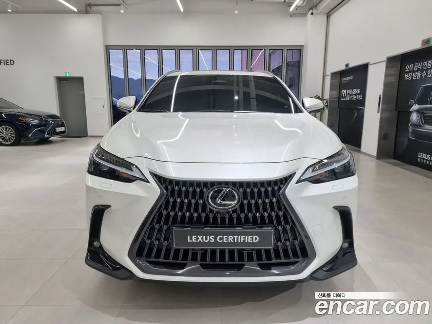 Lexus NX 2025 из KR, фото 4