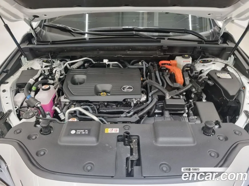 Lexus NX 2025 из KR, фото 6