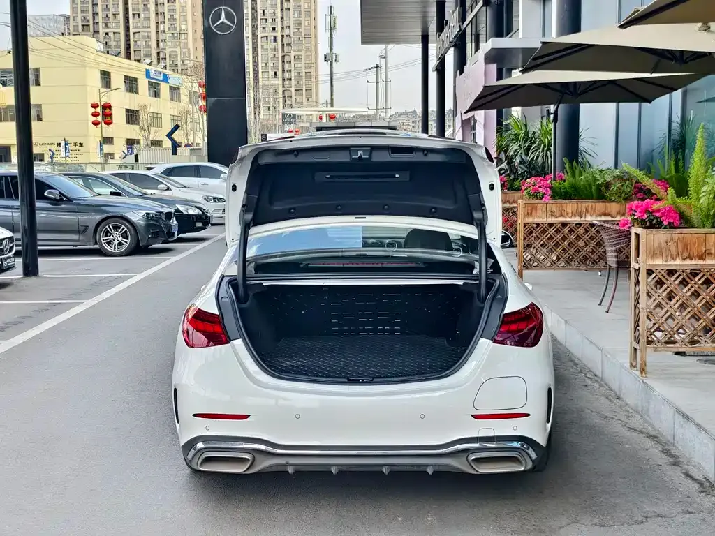 Mercedes-Benz C-Class New Energy — фото 5