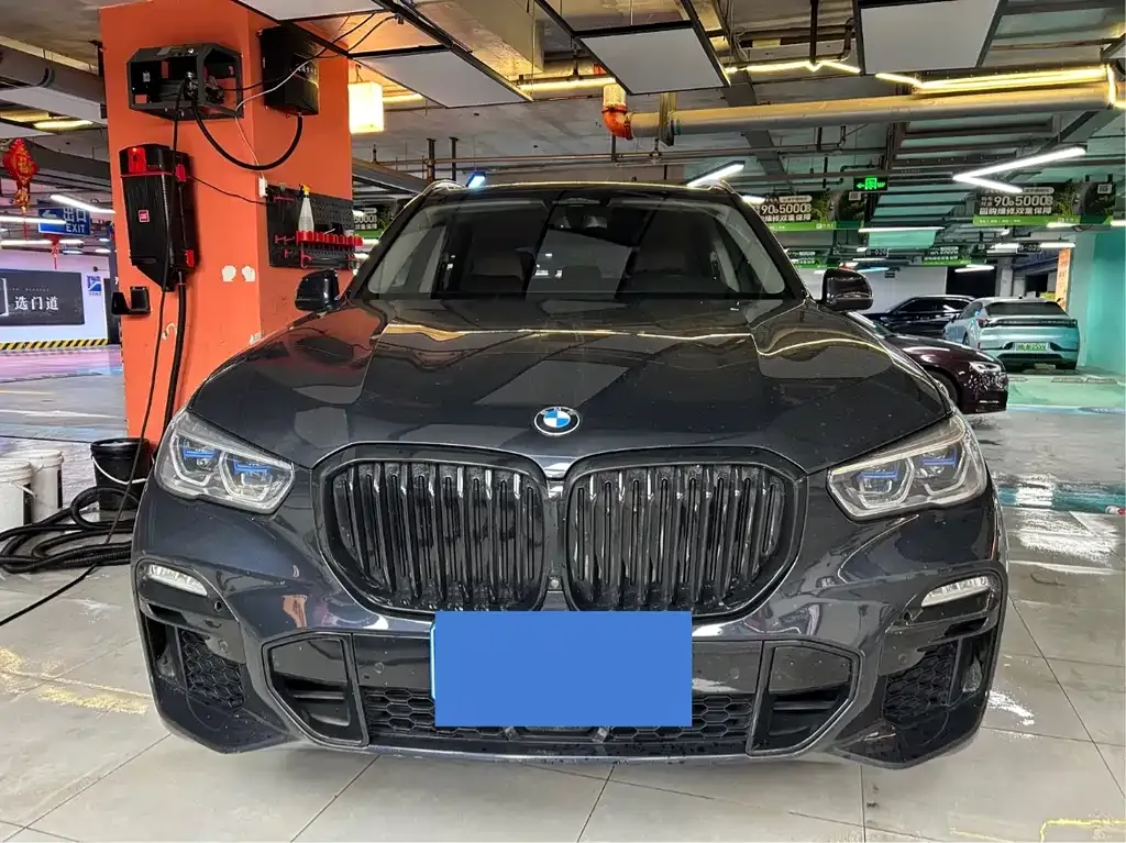 BMW X5 (Import) 2021 из CN, фото 10