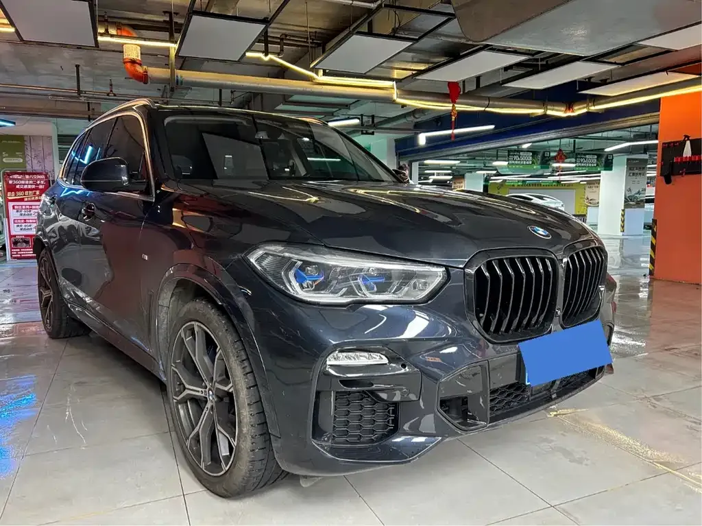 BMW X5 (Import) 2021 из CN, фото 5