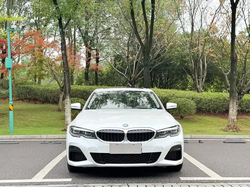 BMW 3 Series 2022 из CN, фото 10
