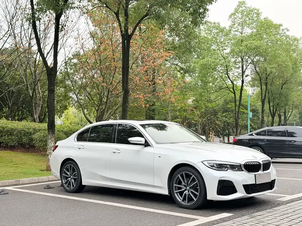 BMW 3 Series 2022 из CN, фото 8