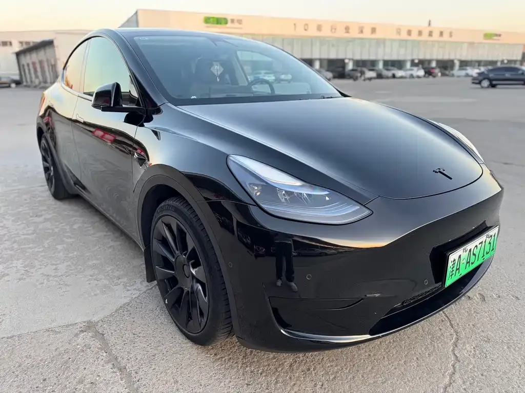 Tesla Model Y — фото 6