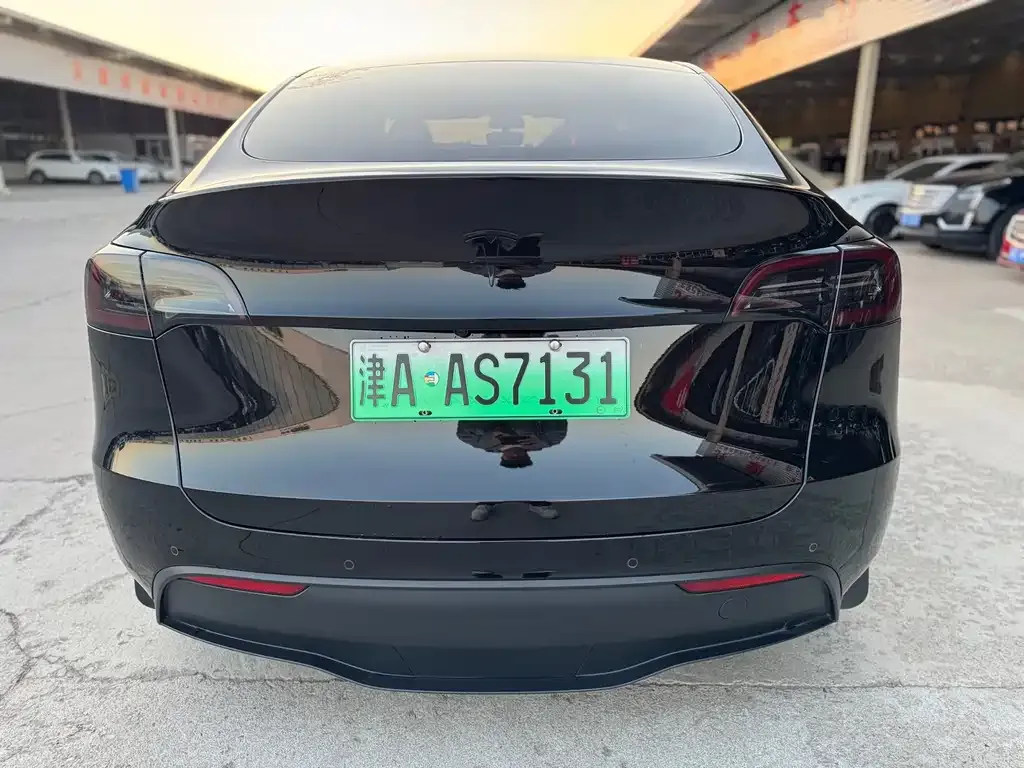 Tesla Model Y — фото 8
