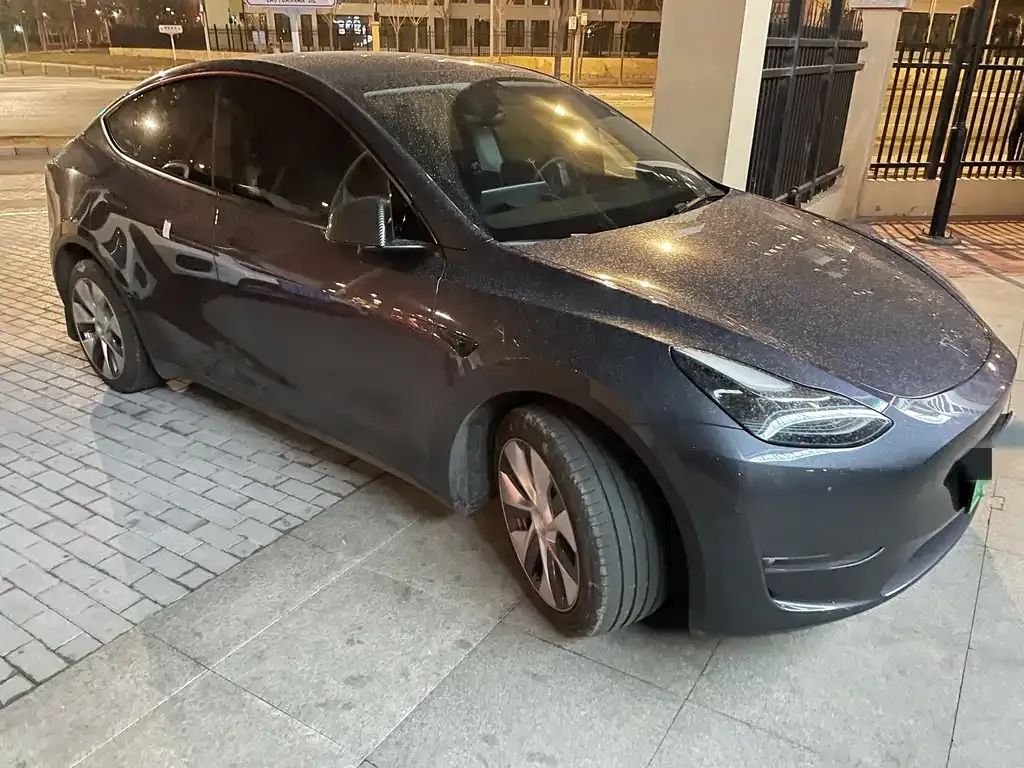 Tesla Model Y — фото 2
