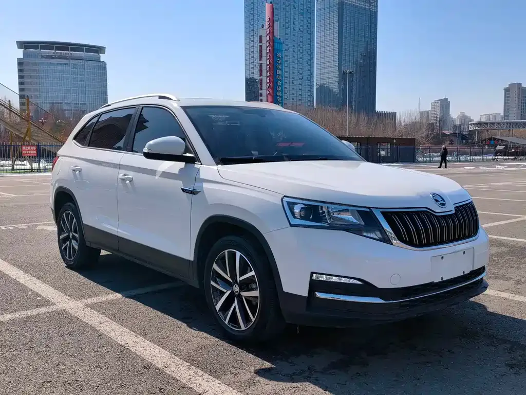 Skoda Kamiq 2021 из CN, фото 5