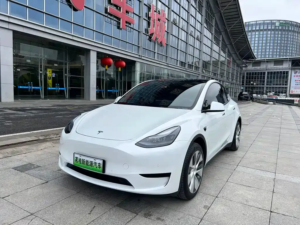 Tesla Model Y — фото 1
