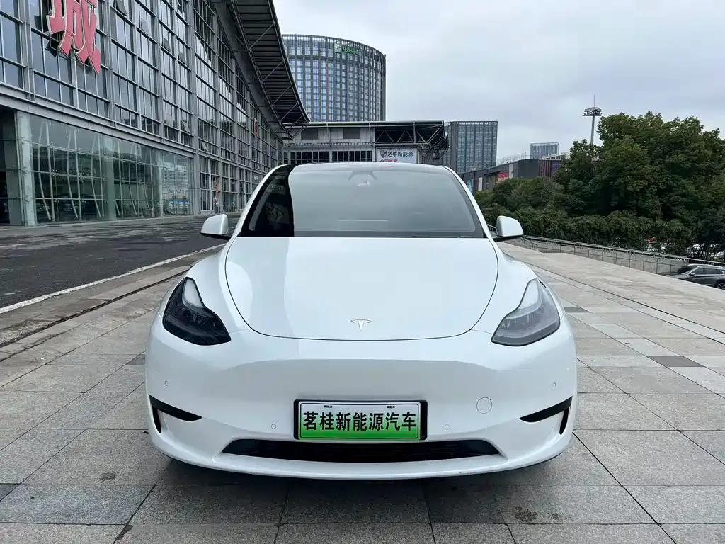 Tesla Model Y — фото 2