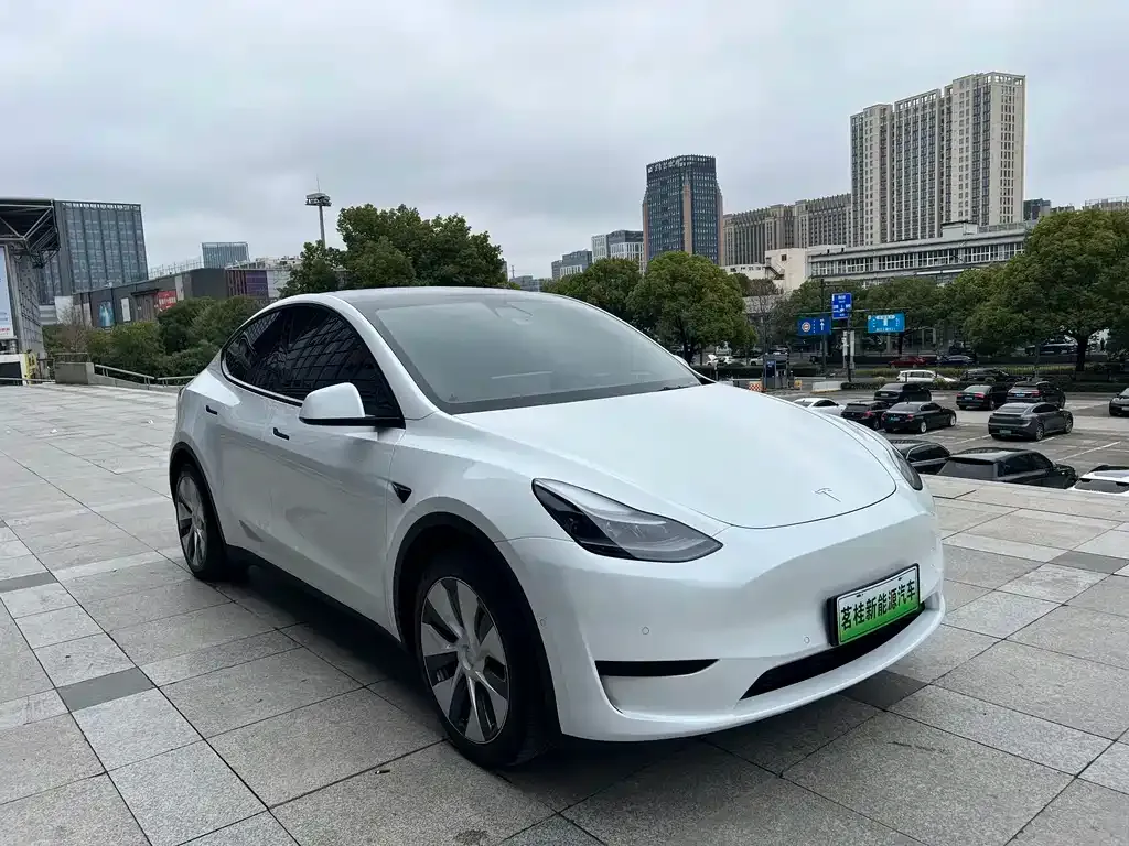 Tesla Model Y — фото 3