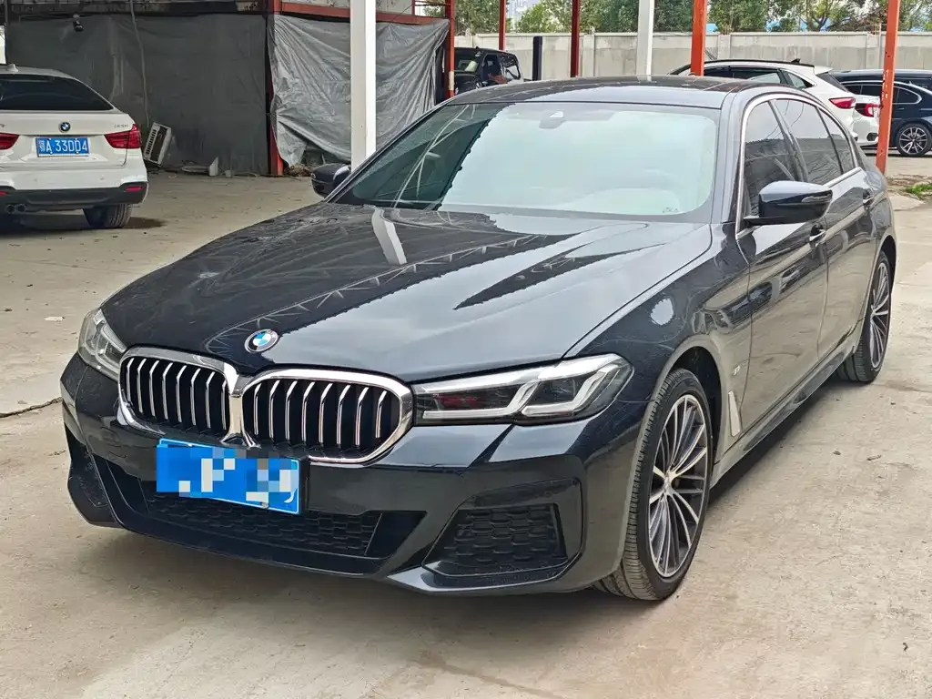 BMW 5 Series 2022 из CN, фото 1