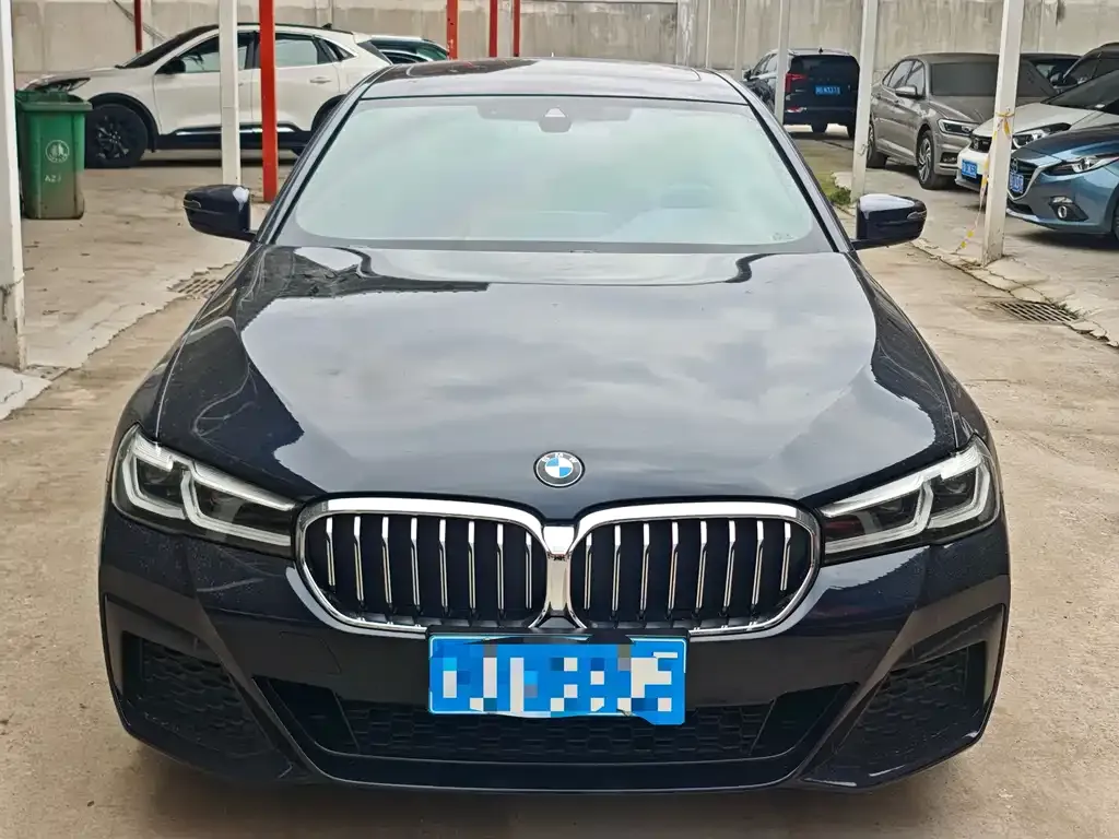 BMW 5 Series 2022 из CN, фото 8