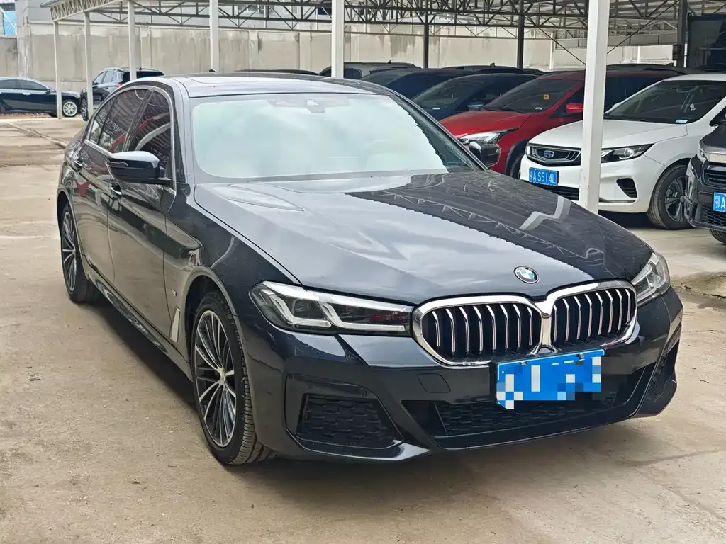 BMW 5 Series 2022 из CN, фото 2