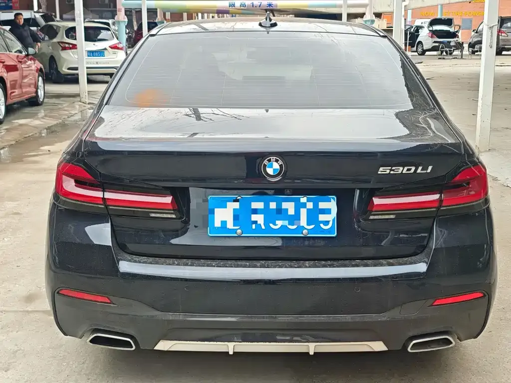 BMW 5 Series 2022 из CN, фото 9