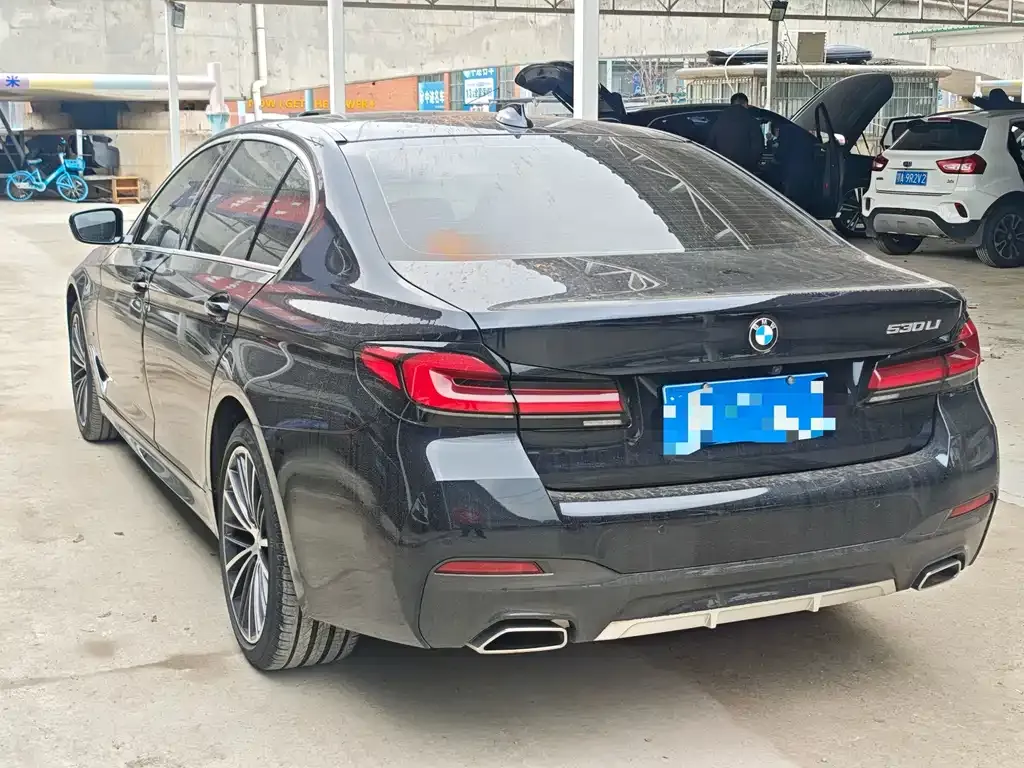 BMW 5 Series 2022 из CN, фото 4