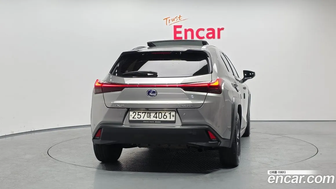 Lexus UX 2021 из KR, фото 2