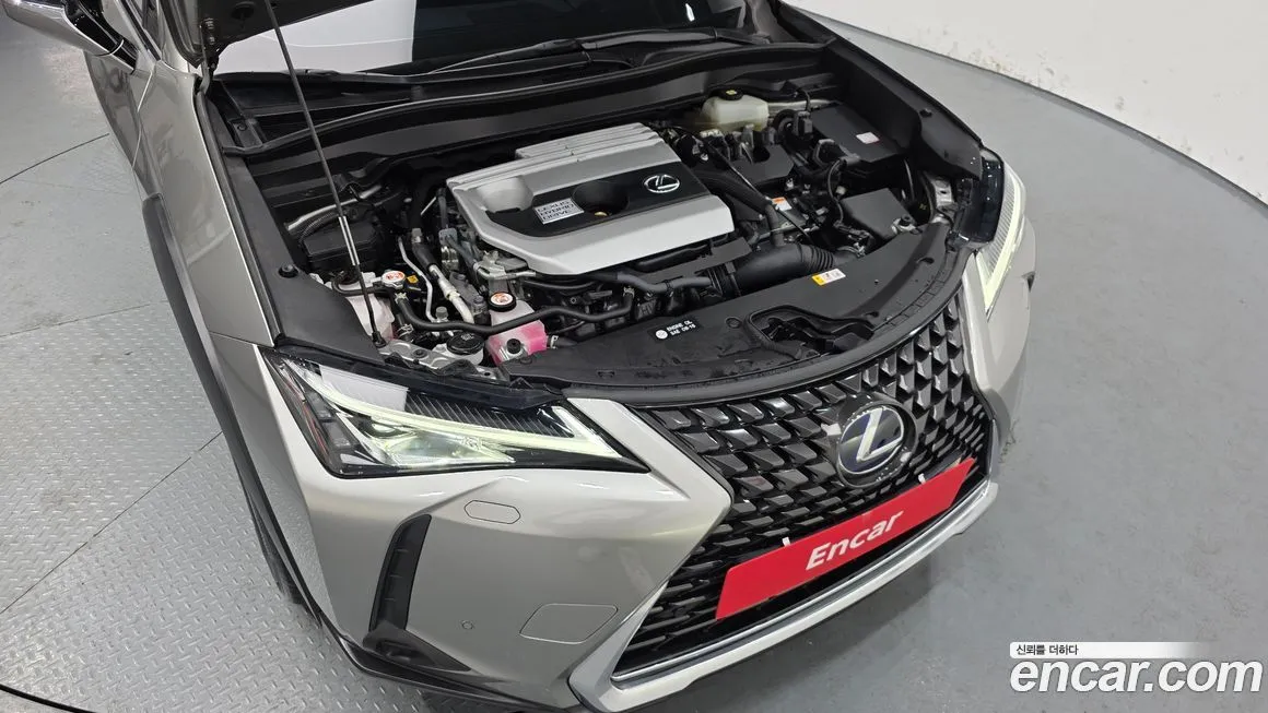 Lexus UX 2021 из KR, фото 9