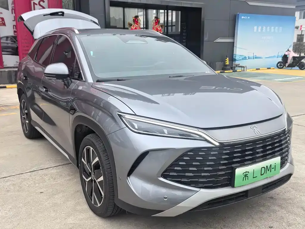 BYD L DM-i — фото 6