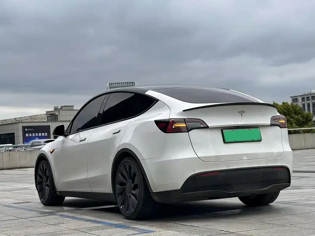 Tesla Model Y — фото 8
