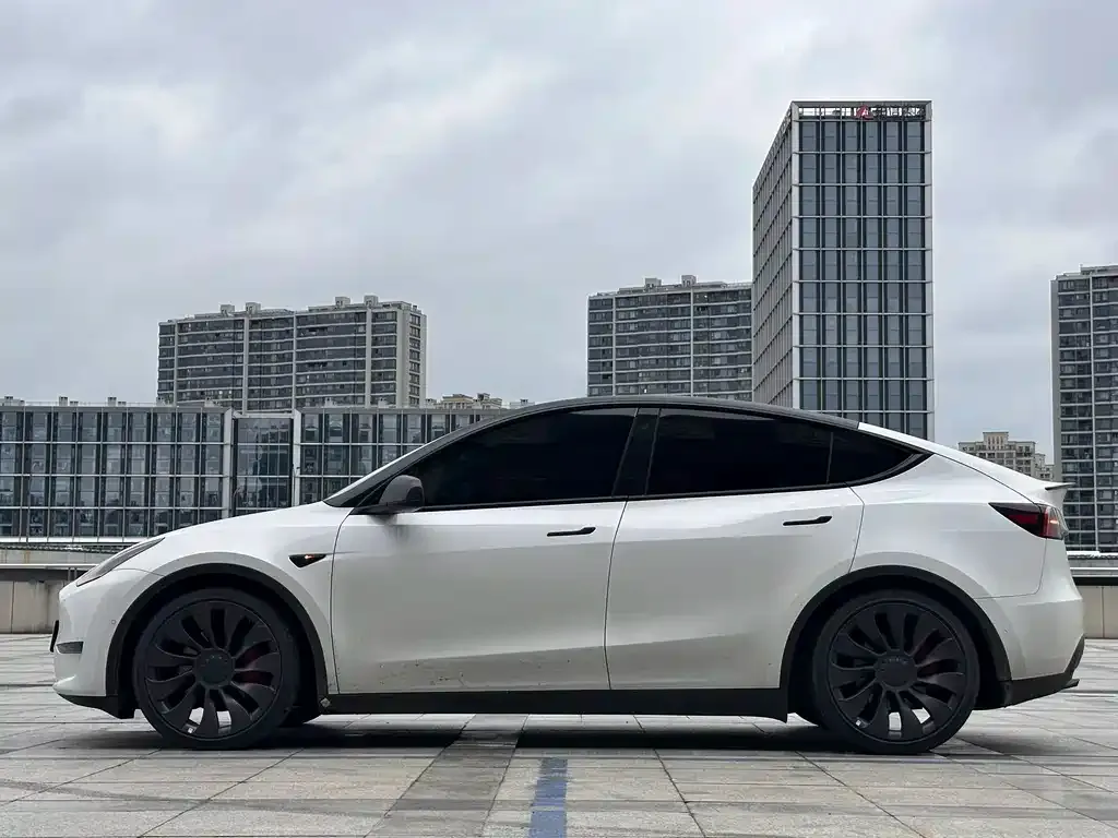 Tesla Model Y — фото 2