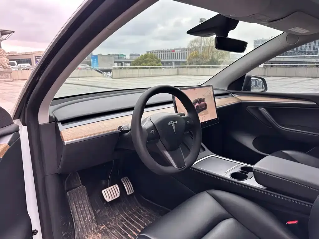 Tesla Model Y — фото 6