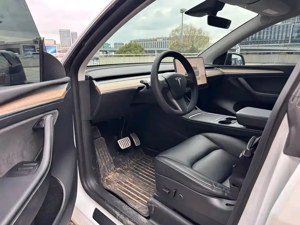 Tesla Model Y — фото 3