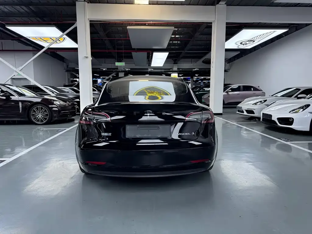 Tesla Model 3 2021 из CN, фото 9