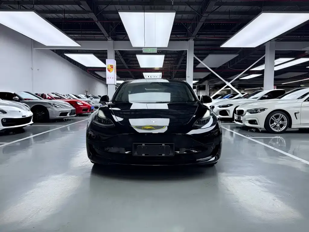 Tesla Model 3 2021 из CN, фото 10