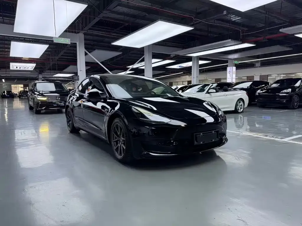 Tesla Model 3 2021 из CN, фото 6