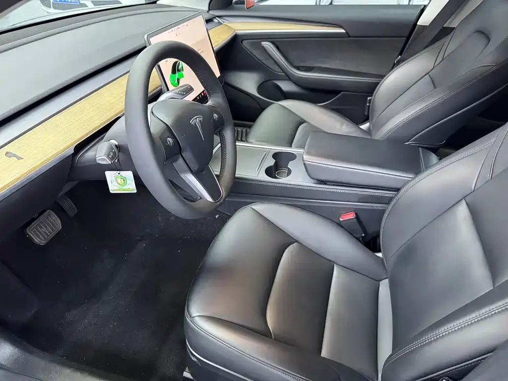 Tesla Model 3 2021 из CN, фото 7