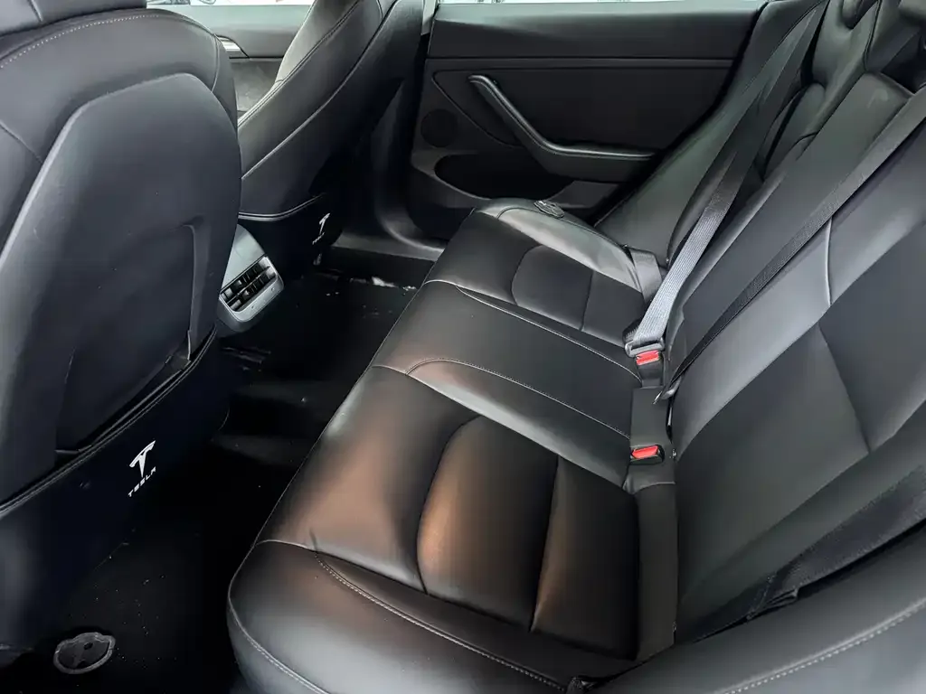 Tesla Model 3 2021 из CN, фото 3
