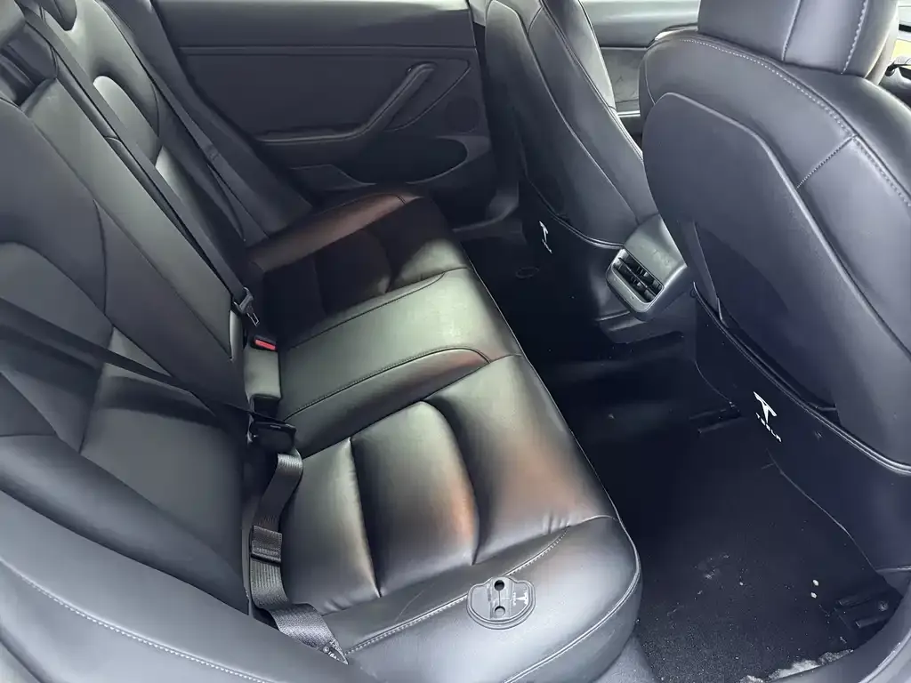 Tesla Model 3 2021 из CN, фото 4