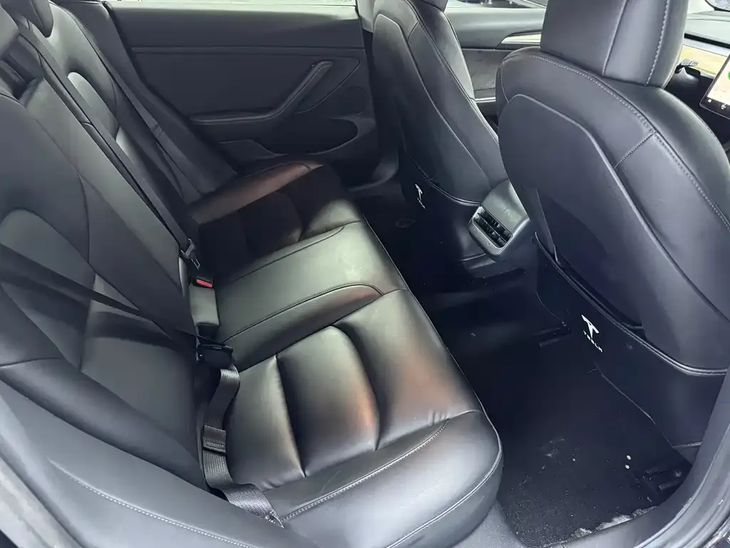 Tesla Model 3 2021 из CN, фото 2