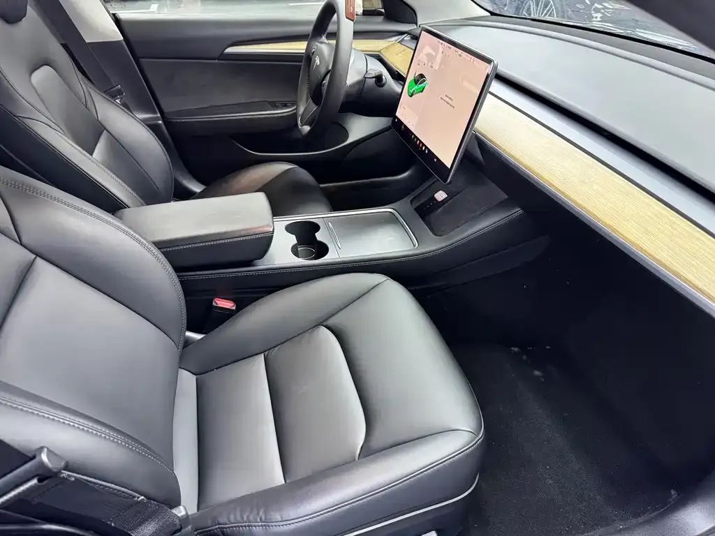 Tesla Model 3 2021 из CN, фото 5