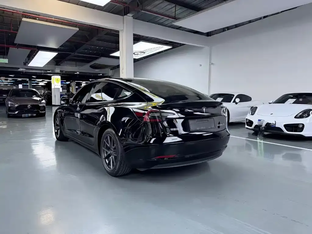 Tesla Model 3 2021 из CN, фото 8