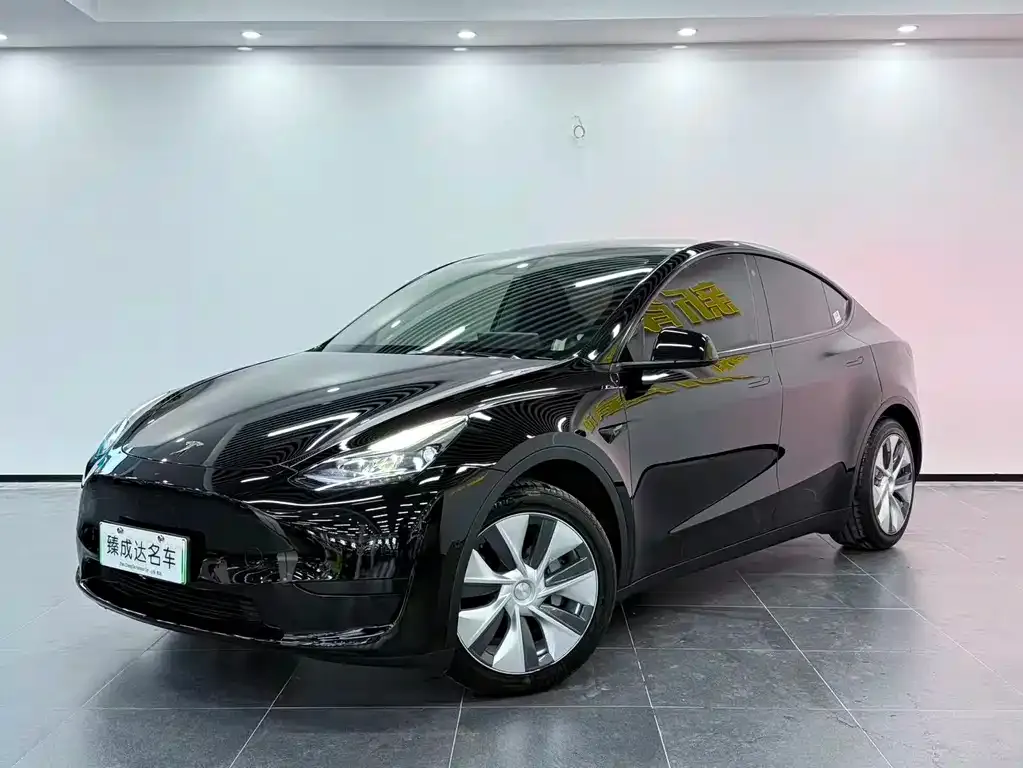 Tesla Model Y — фото 1