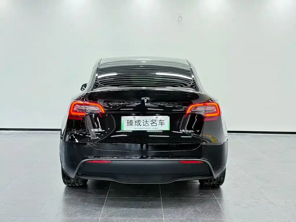 Tesla Model Y — фото 8