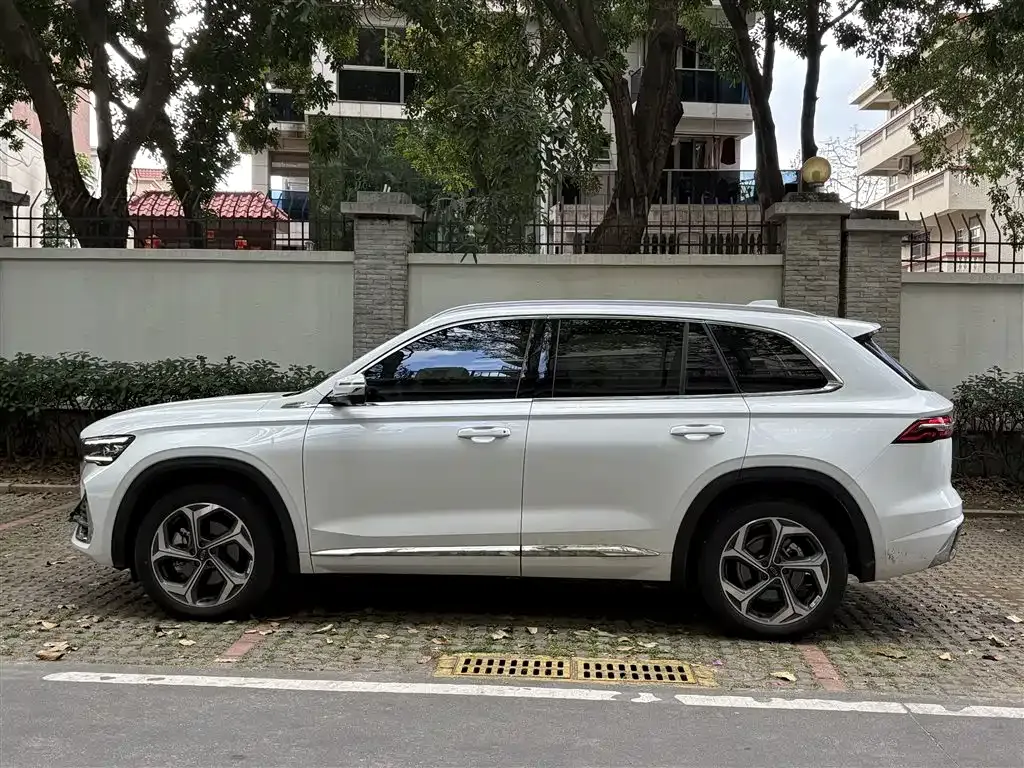 Geely Xingyue L 2024 из CN, фото 6