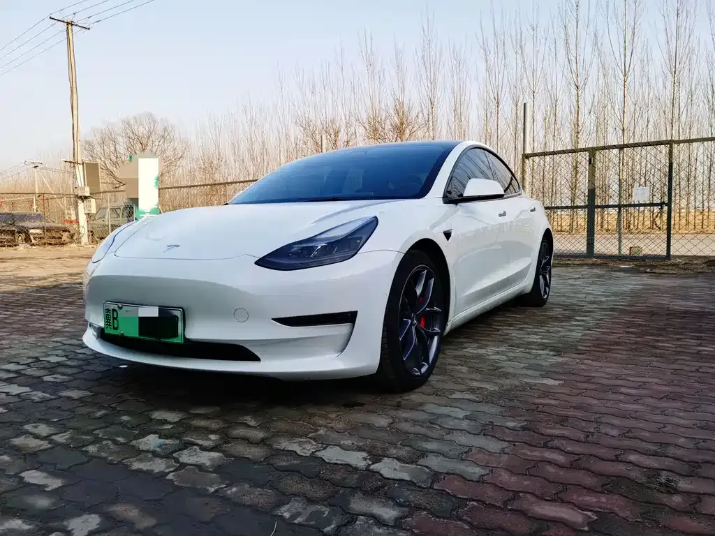 Tesla Model 3 2022 из CN, фото 1