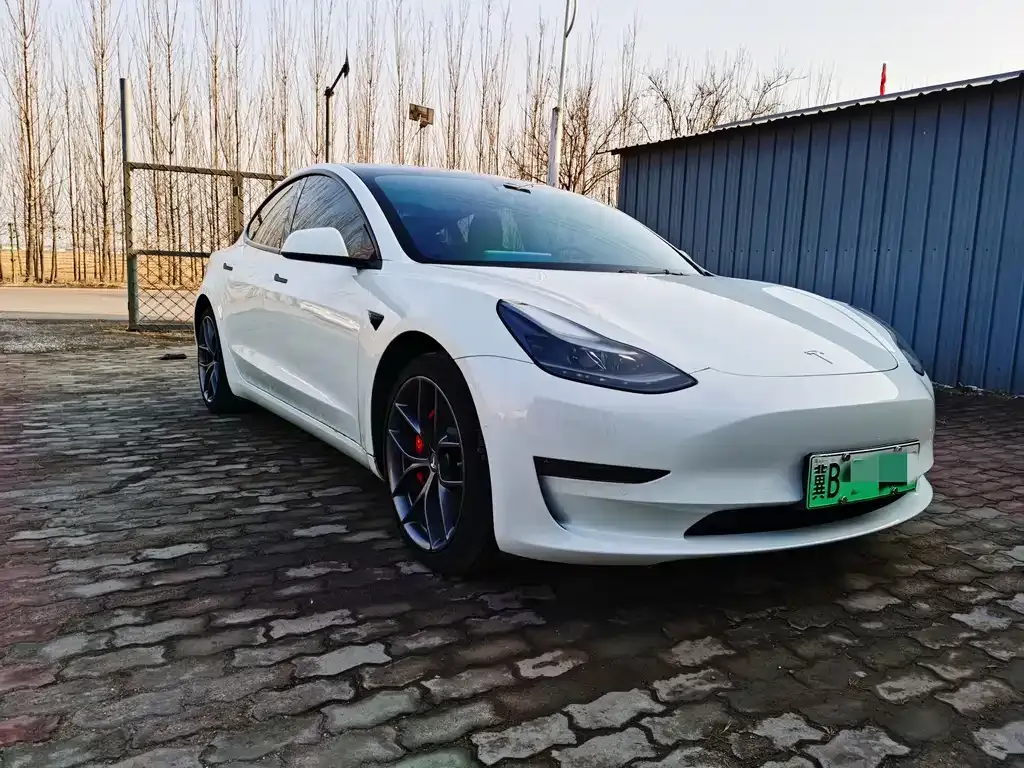 Tesla Model 3 2022 из CN, фото 5