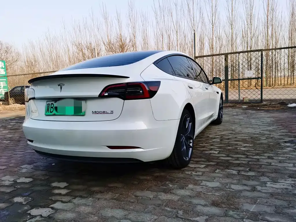 Tesla Model 3 2022 из CN, фото 7