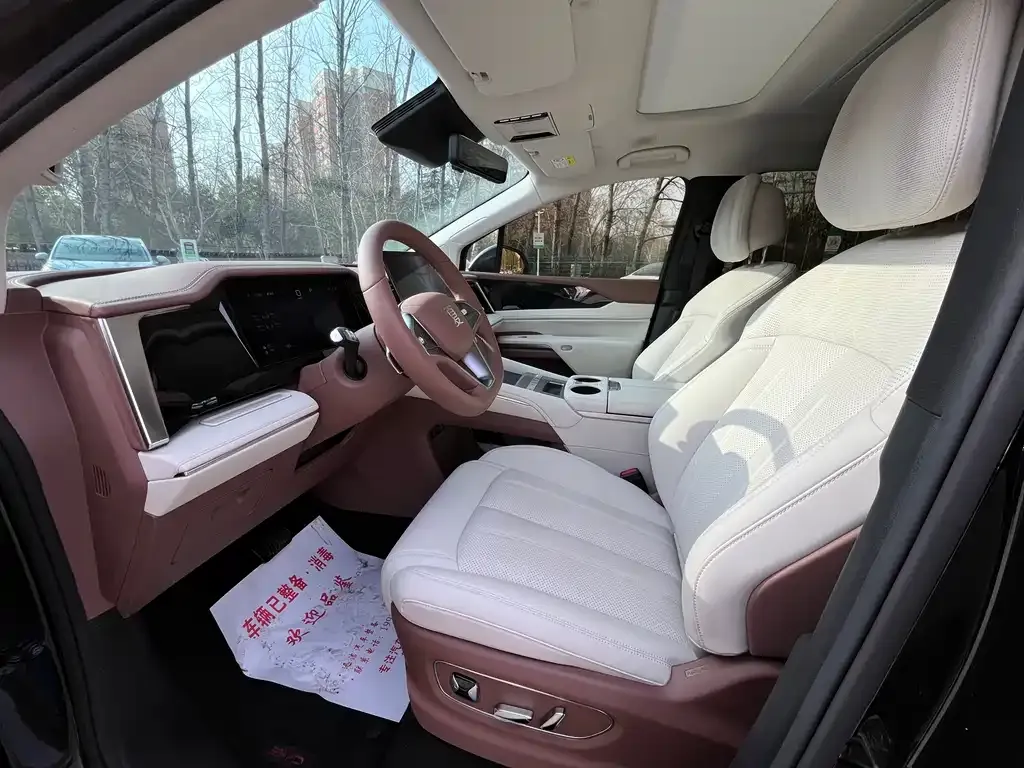 BYD Xia 2025 из CN, фото 2