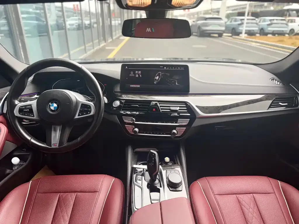 BMW 5 Series 2021 из CN, фото 8