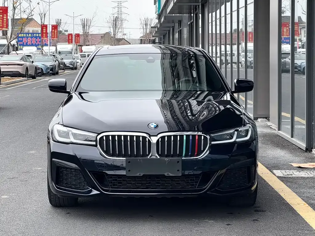 BMW 5 Series 2021 из CN, фото 5