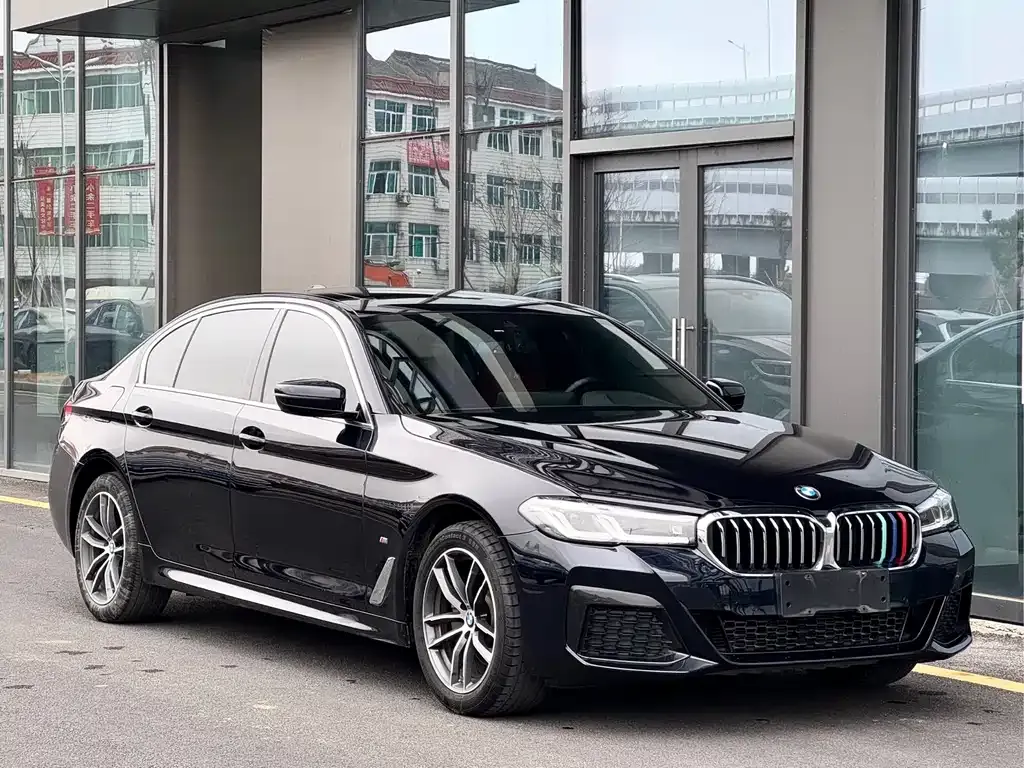BMW 5 Series 2021 из CN, фото 9