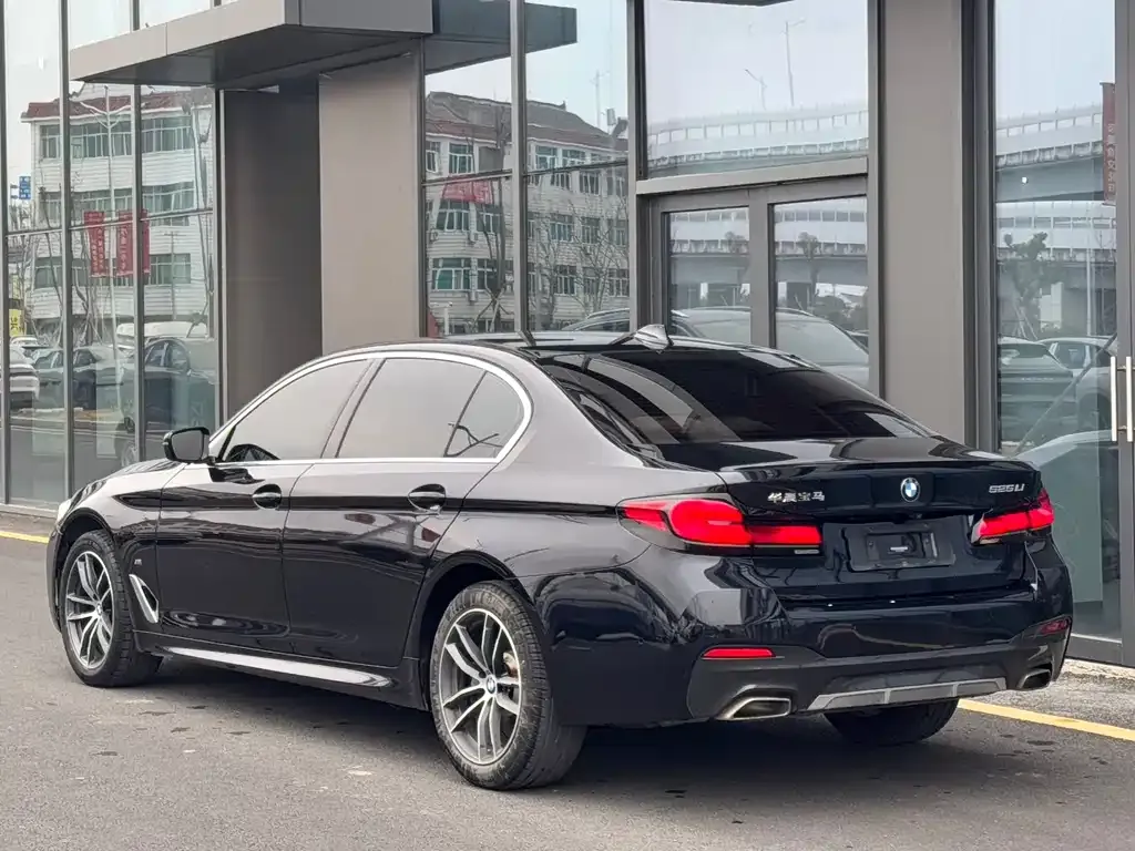 BMW 5 Series 2021 из CN, фото 4