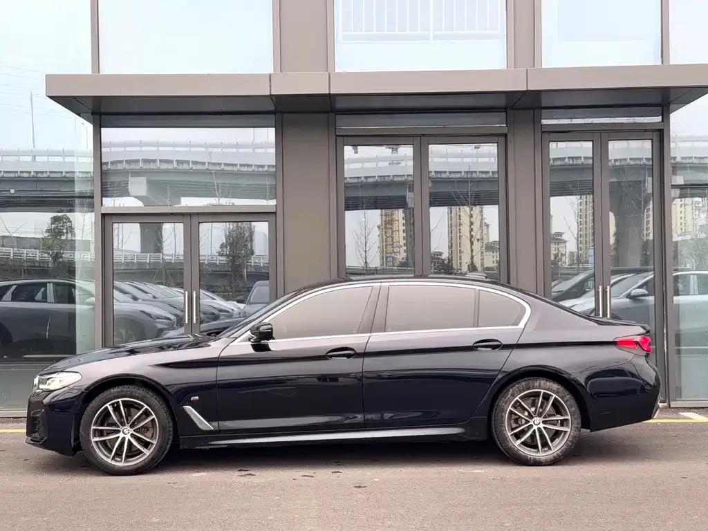 BMW 5 Series 2021 из CN, фото 3
