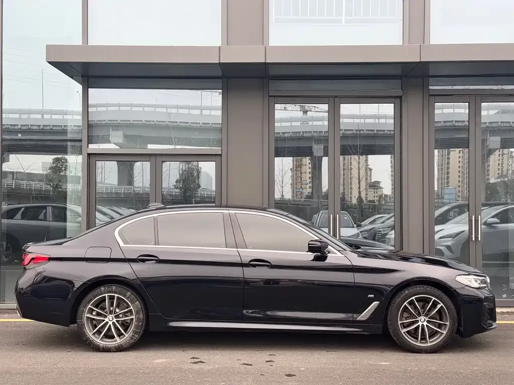 BMW 5 Series 2021 из CN, фото 7