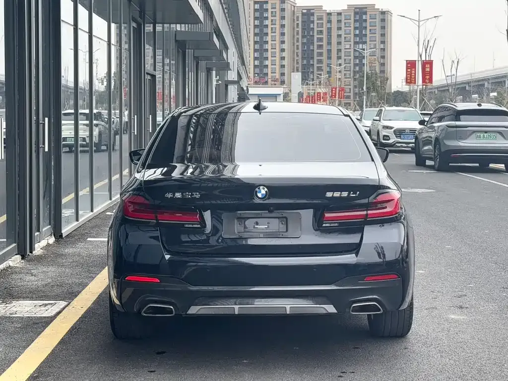 BMW 5 Series 2021 из CN, фото 10