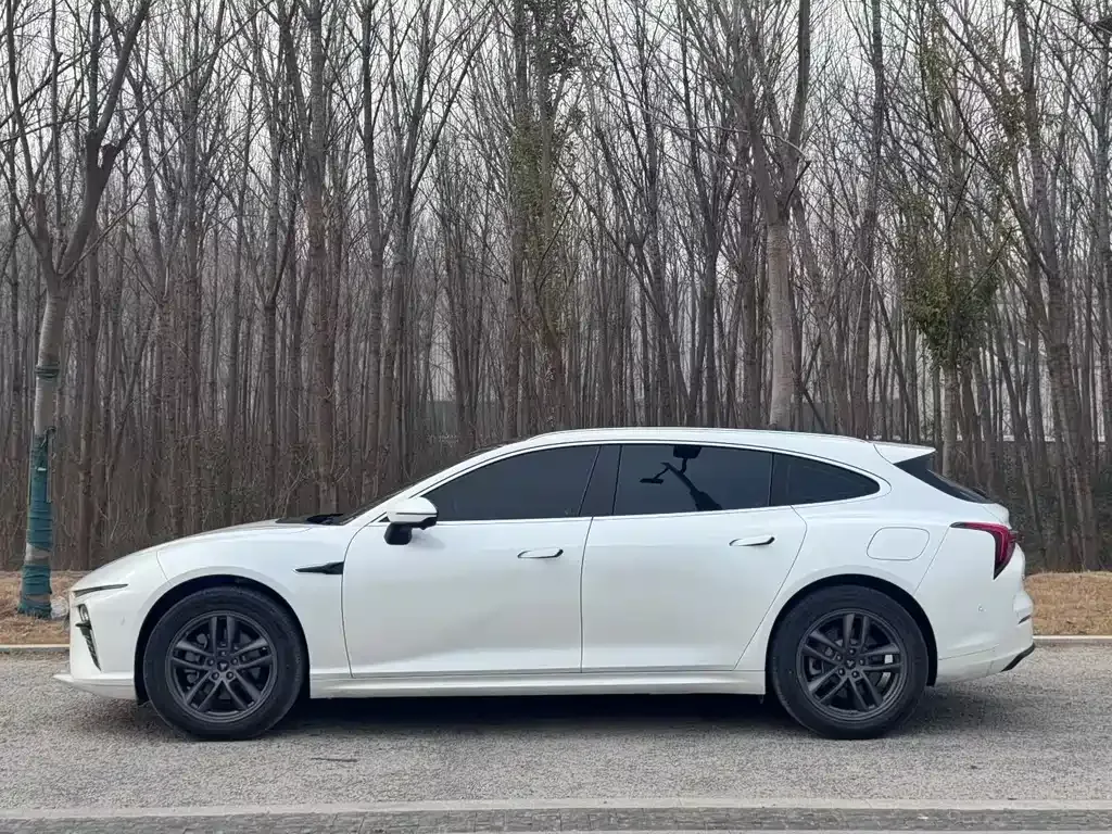 Neta S Shooting Brake 2025 из CN, фото 9